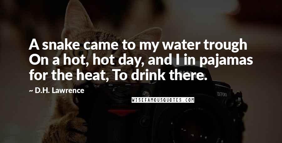 D.H. Lawrence Quotes: A snake came to my water trough On a hot, hot day, and I in pajamas for the heat, To drink there.