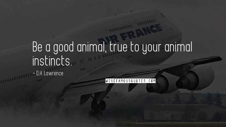 D.H. Lawrence Quotes: Be a good animal, true to your animal instincts.