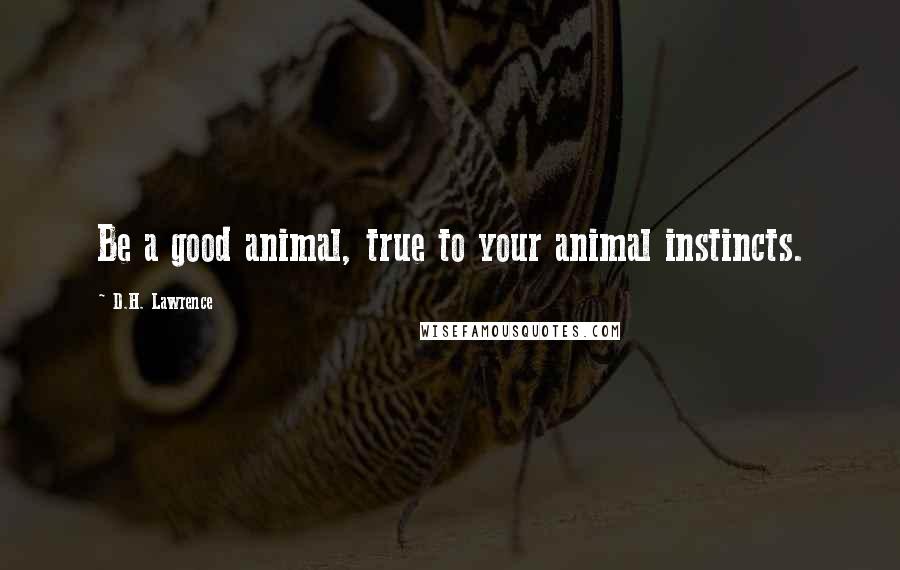 D.H. Lawrence Quotes: Be a good animal, true to your animal instincts.