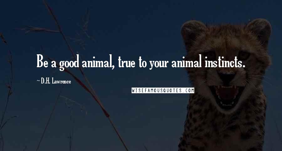 D.H. Lawrence Quotes: Be a good animal, true to your animal instincts.