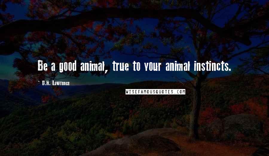 D.H. Lawrence Quotes: Be a good animal, true to your animal instincts.