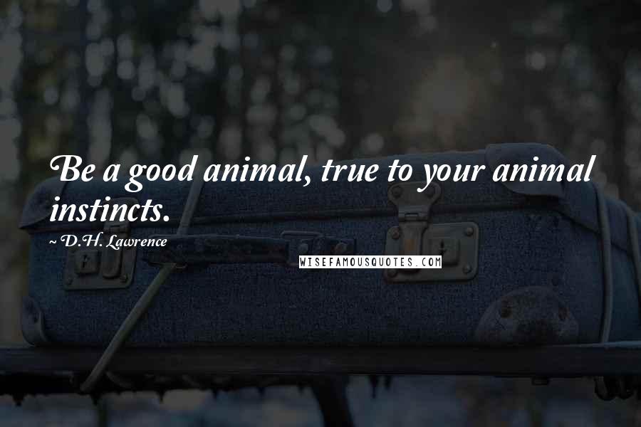 D.H. Lawrence Quotes: Be a good animal, true to your animal instincts.