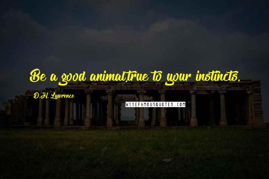 D.H. Lawrence Quotes: Be a good animal,true to your instincts.