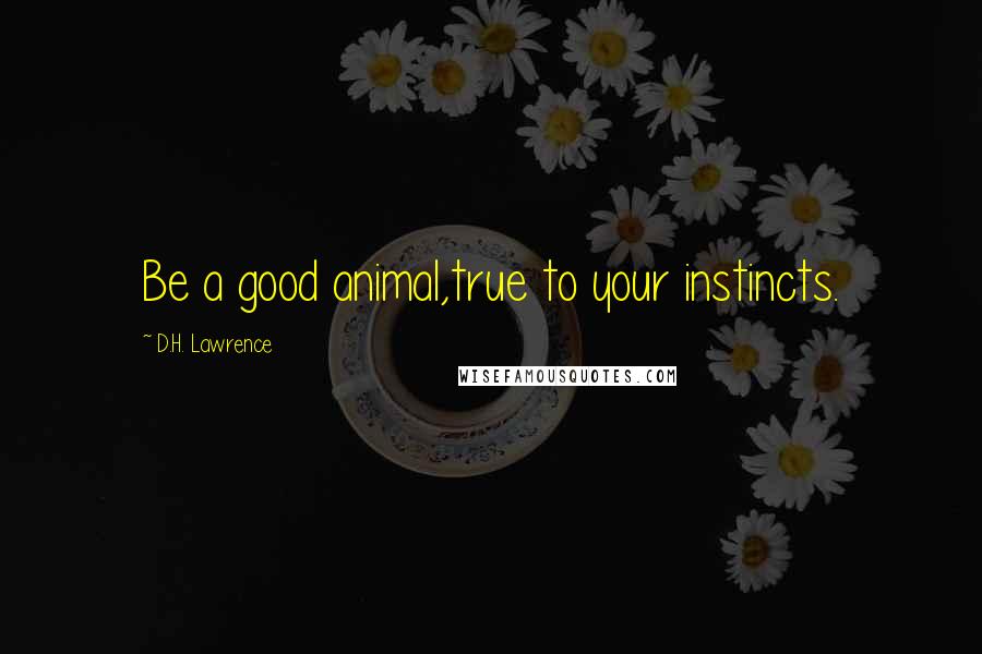 D.H. Lawrence Quotes: Be a good animal,true to your instincts.