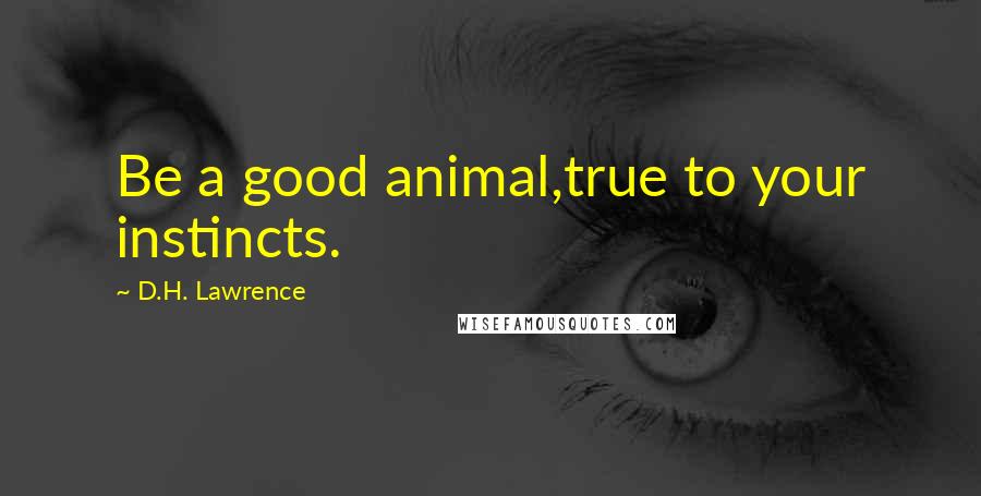 D.H. Lawrence Quotes: Be a good animal,true to your instincts.