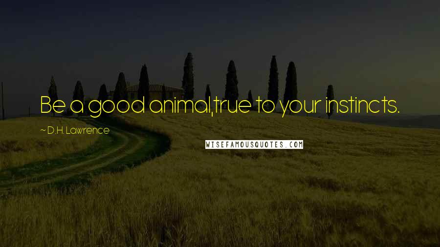 D.H. Lawrence Quotes: Be a good animal,true to your instincts.