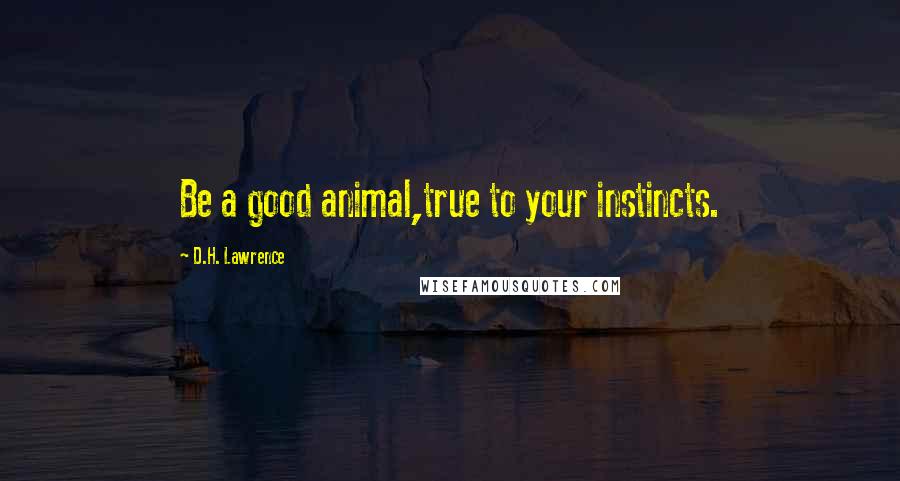 D.H. Lawrence Quotes: Be a good animal,true to your instincts.