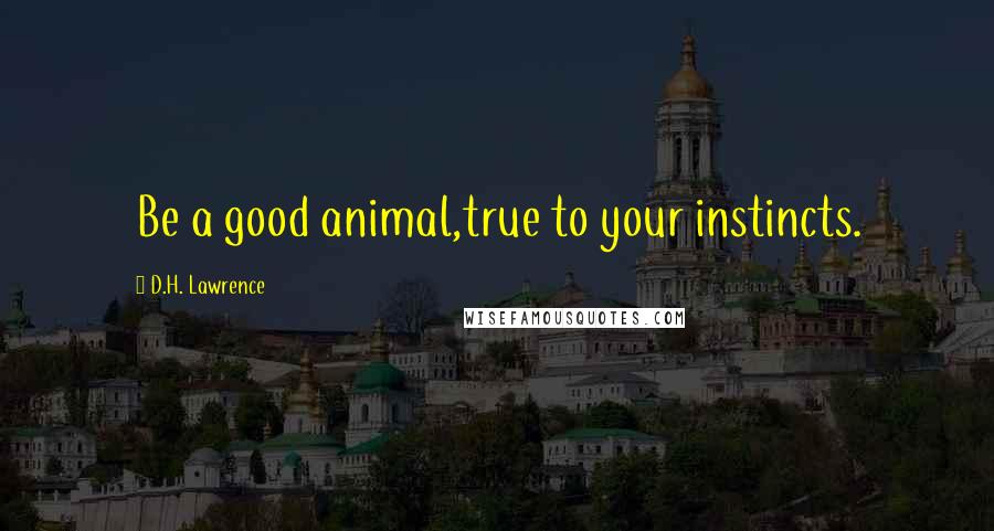 D.H. Lawrence Quotes: Be a good animal,true to your instincts.