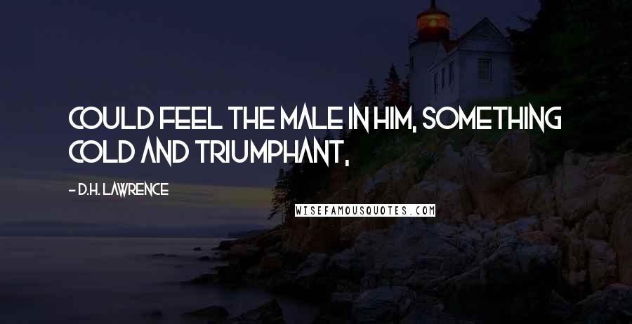 D.H. Lawrence Quotes: could feel the male in him, something cold and triumphant,