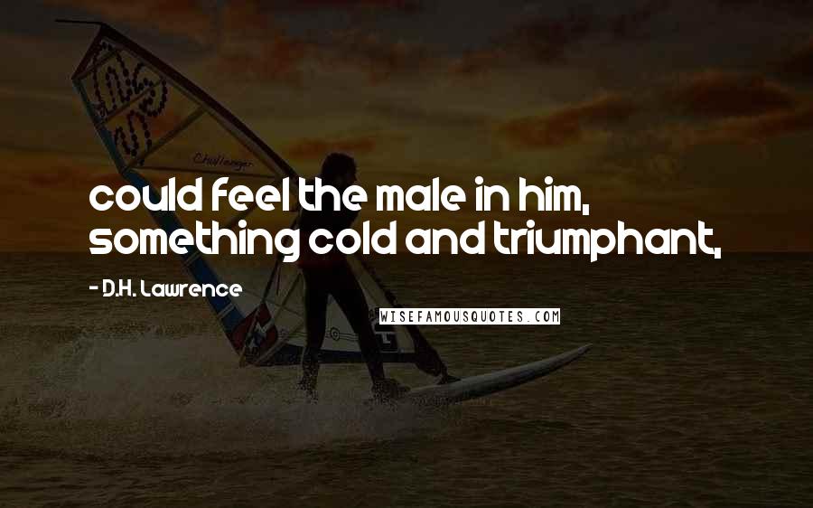 D.H. Lawrence Quotes: could feel the male in him, something cold and triumphant,