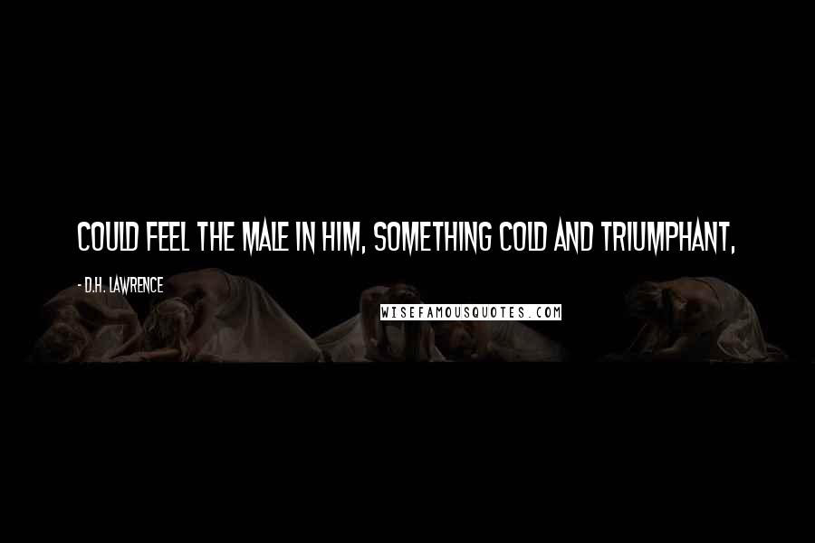D.H. Lawrence Quotes: could feel the male in him, something cold and triumphant,