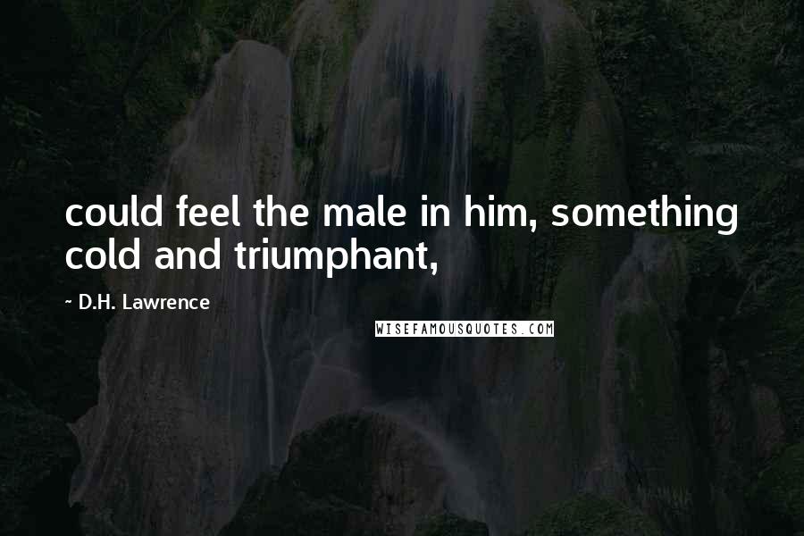 D.H. Lawrence Quotes: could feel the male in him, something cold and triumphant,