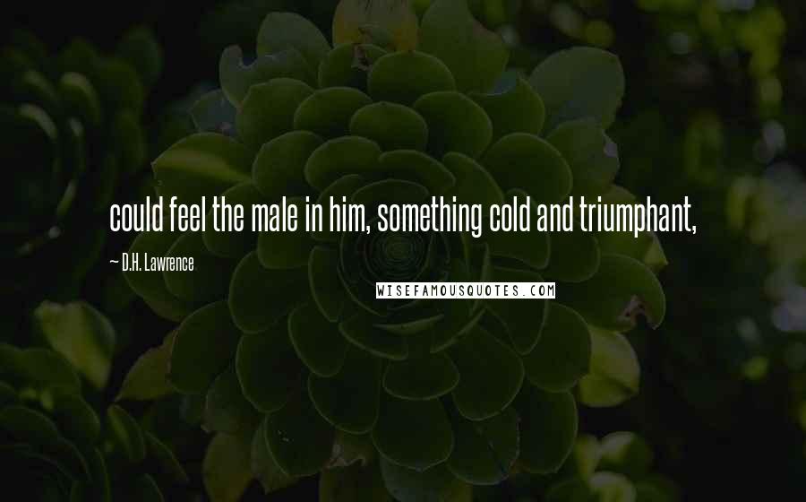 D.H. Lawrence Quotes: could feel the male in him, something cold and triumphant,