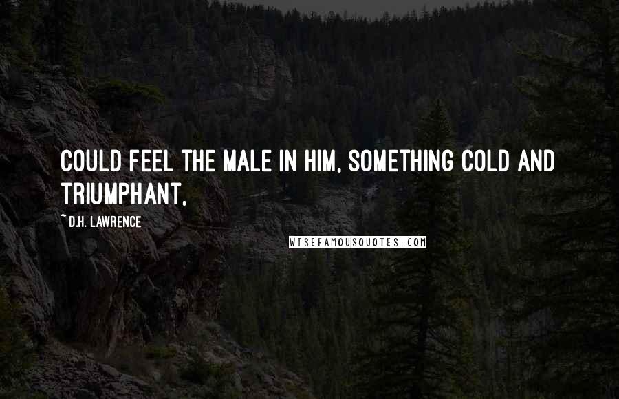 D.H. Lawrence Quotes: could feel the male in him, something cold and triumphant,