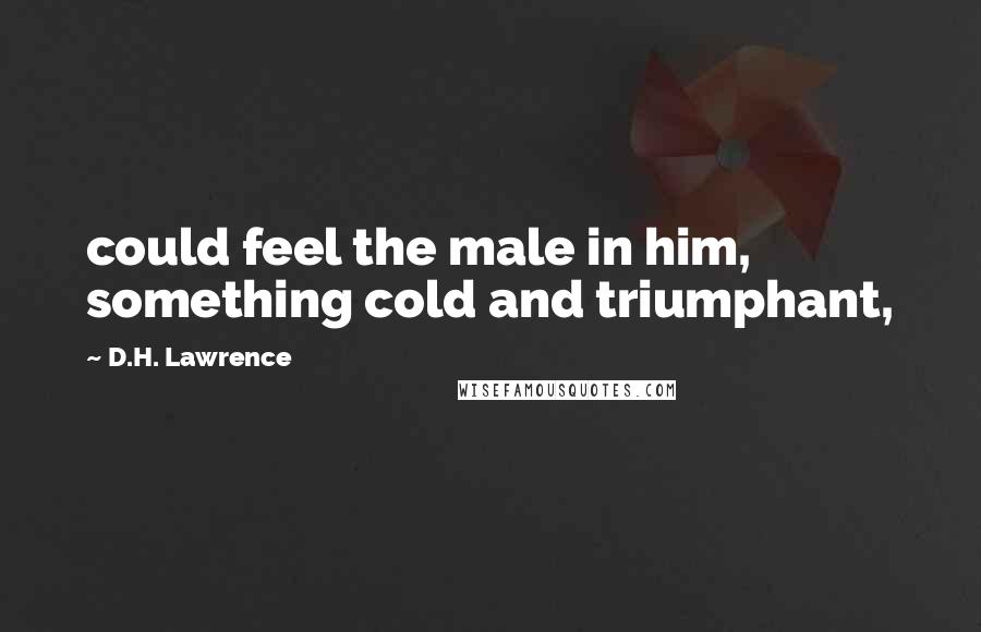 D.H. Lawrence Quotes: could feel the male in him, something cold and triumphant,