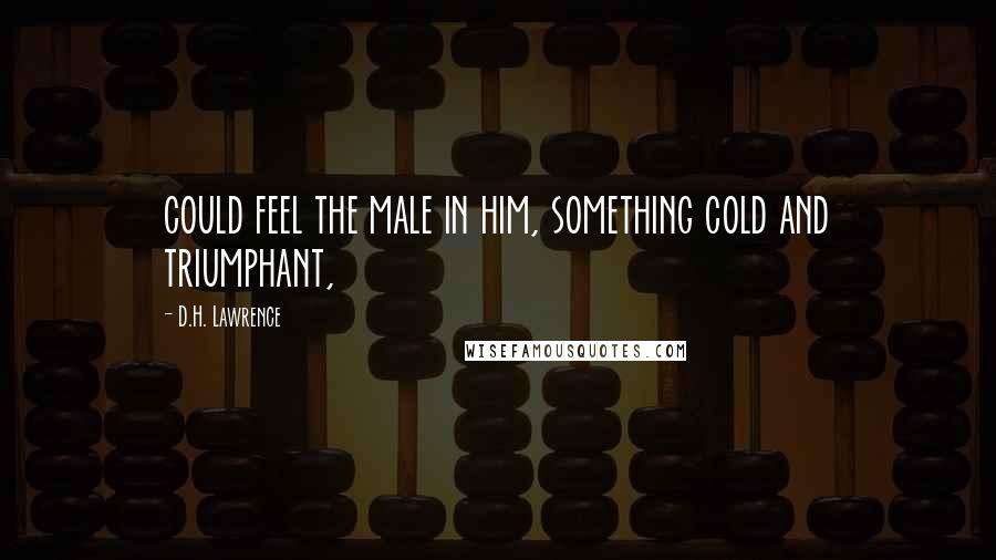 D.H. Lawrence Quotes: could feel the male in him, something cold and triumphant,