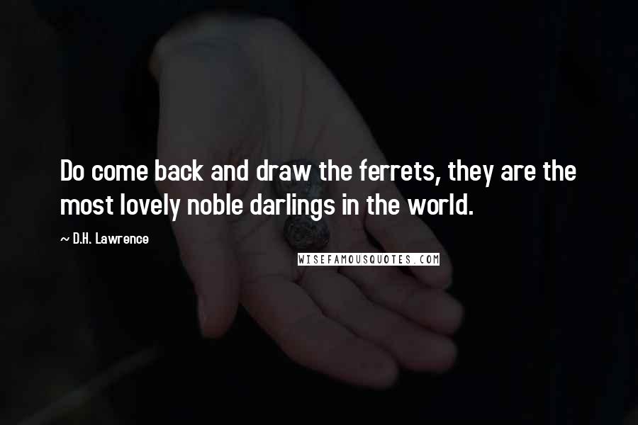 D.H. Lawrence Quotes: Do come back and draw the ferrets, they are the most lovely noble darlings in the world.