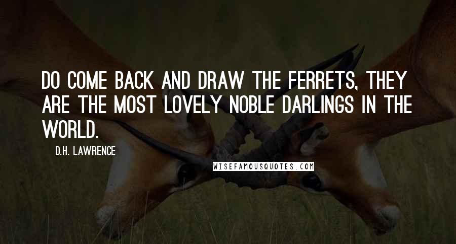 D.H. Lawrence Quotes: Do come back and draw the ferrets, they are the most lovely noble darlings in the world.