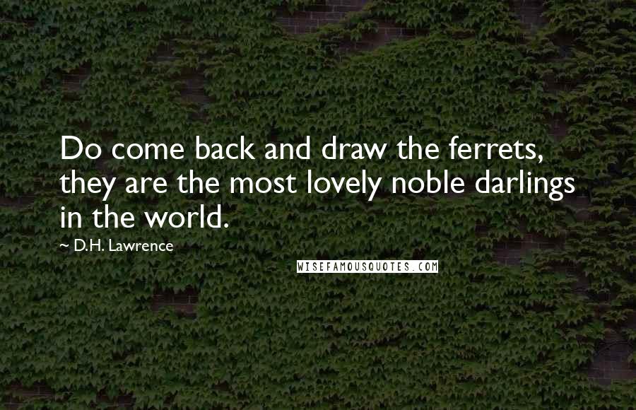 D.H. Lawrence Quotes: Do come back and draw the ferrets, they are the most lovely noble darlings in the world.