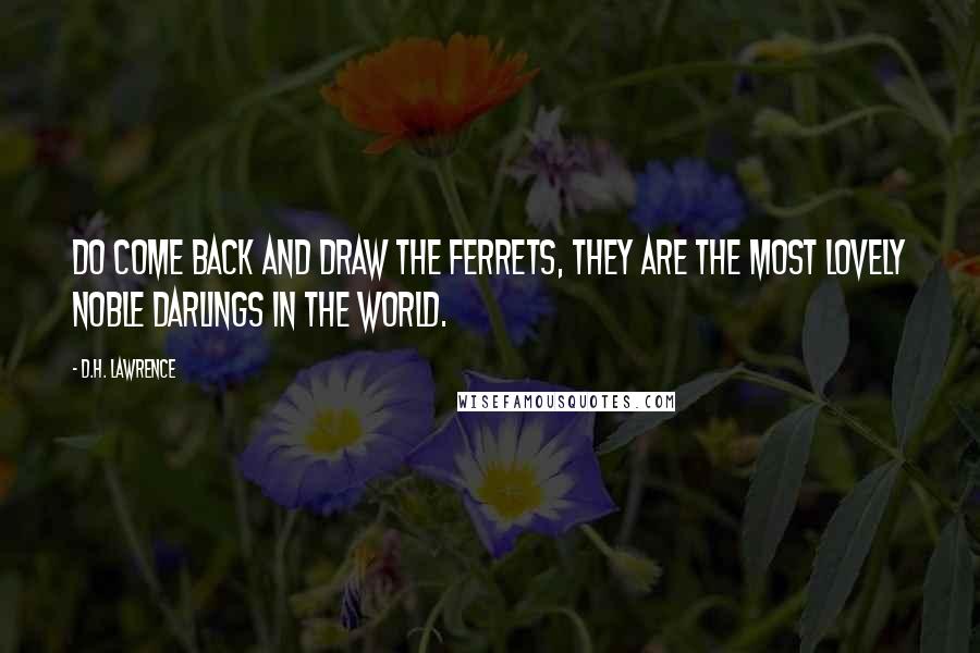 D.H. Lawrence Quotes: Do come back and draw the ferrets, they are the most lovely noble darlings in the world.