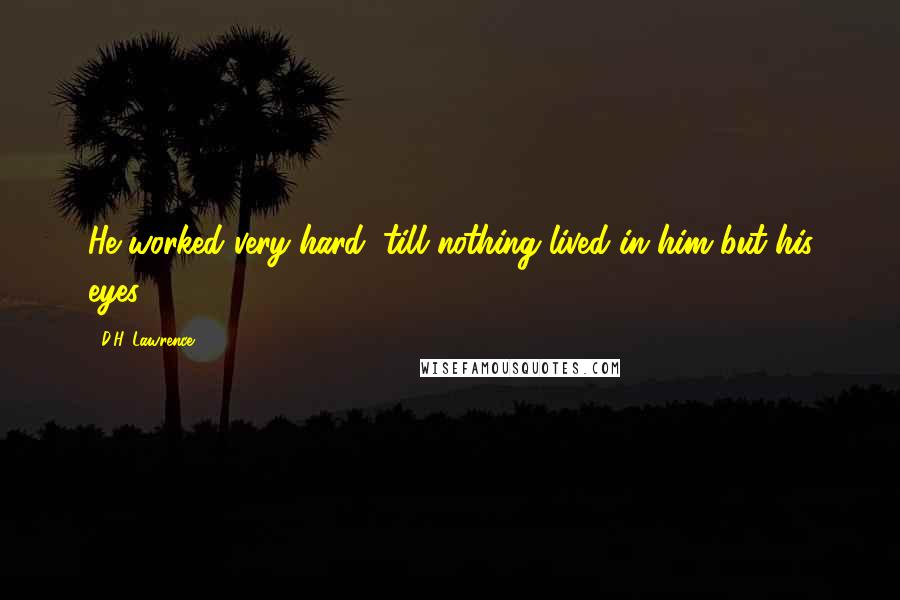 D.H. Lawrence Quotes: He worked very hard, till nothing lived in him but his eyes.