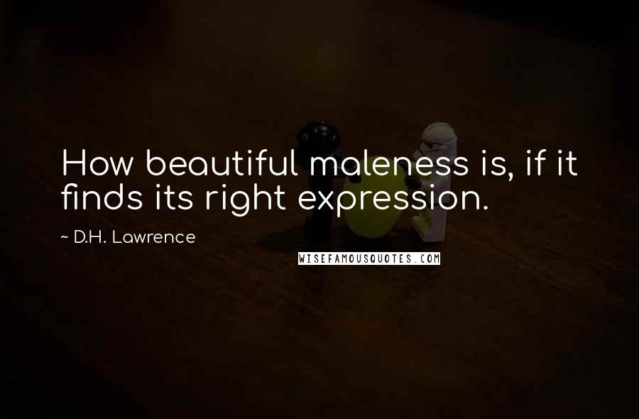 D.H. Lawrence Quotes: How beautiful maleness is, if it finds its right expression.