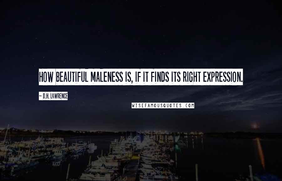 D.H. Lawrence Quotes: How beautiful maleness is, if it finds its right expression.