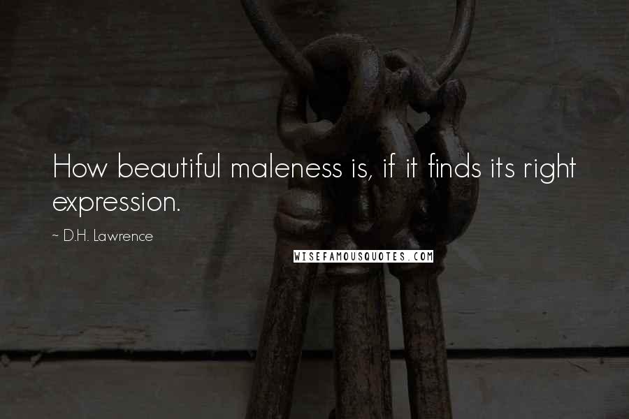 D.H. Lawrence Quotes: How beautiful maleness is, if it finds its right expression.