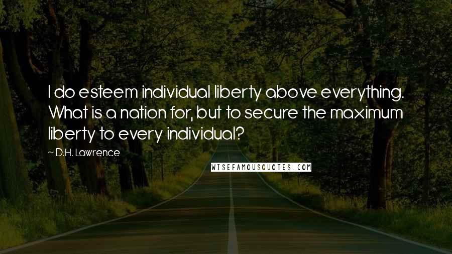 D.H. Lawrence Quotes: I do esteem individual liberty above everything. What is a nation for, but to secure the maximum liberty to every individual?