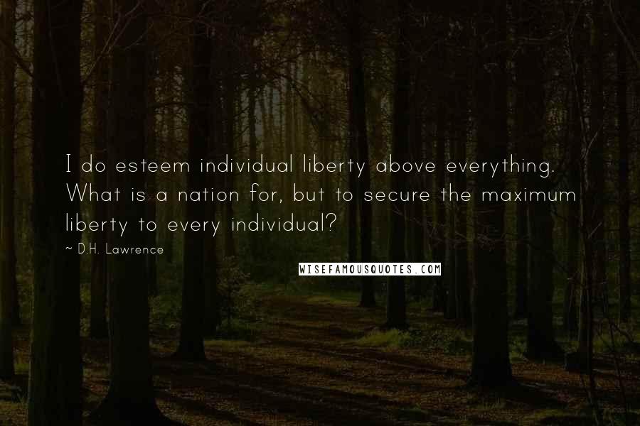 D.H. Lawrence Quotes: I do esteem individual liberty above everything. What is a nation for, but to secure the maximum liberty to every individual?