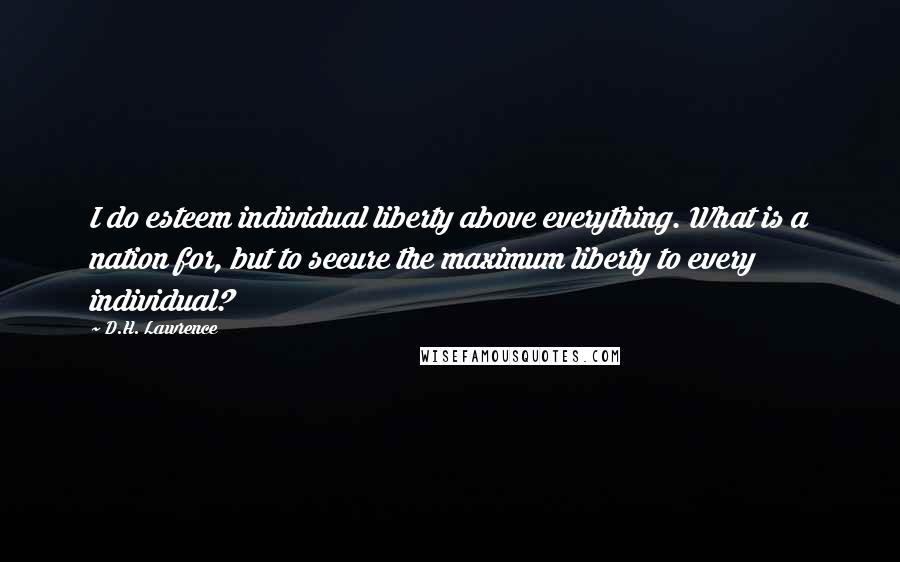 D.H. Lawrence Quotes: I do esteem individual liberty above everything. What is a nation for, but to secure the maximum liberty to every individual?