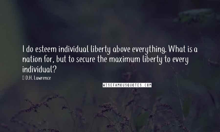 D.H. Lawrence Quotes: I do esteem individual liberty above everything. What is a nation for, but to secure the maximum liberty to every individual?
