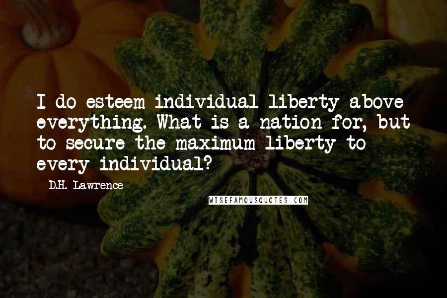 D.H. Lawrence Quotes: I do esteem individual liberty above everything. What is a nation for, but to secure the maximum liberty to every individual?