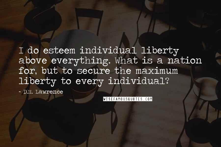 D.H. Lawrence Quotes: I do esteem individual liberty above everything. What is a nation for, but to secure the maximum liberty to every individual?