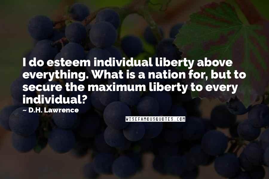 D.H. Lawrence Quotes: I do esteem individual liberty above everything. What is a nation for, but to secure the maximum liberty to every individual?