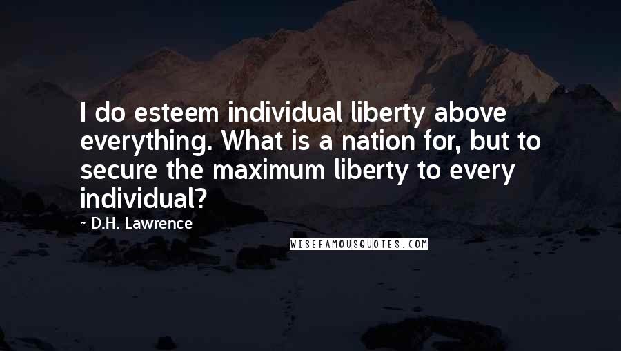 D.H. Lawrence Quotes: I do esteem individual liberty above everything. What is a nation for, but to secure the maximum liberty to every individual?