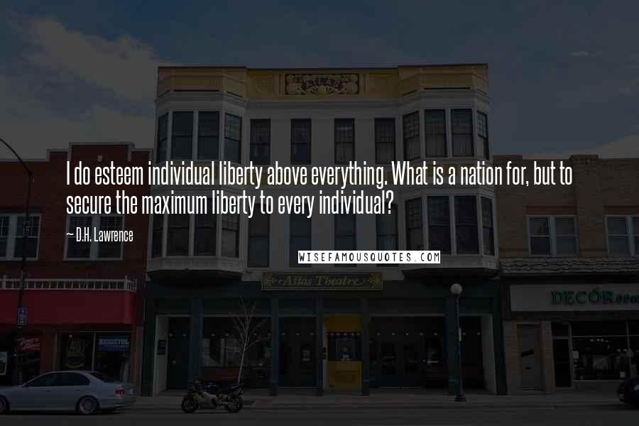 D.H. Lawrence Quotes: I do esteem individual liberty above everything. What is a nation for, but to secure the maximum liberty to every individual?