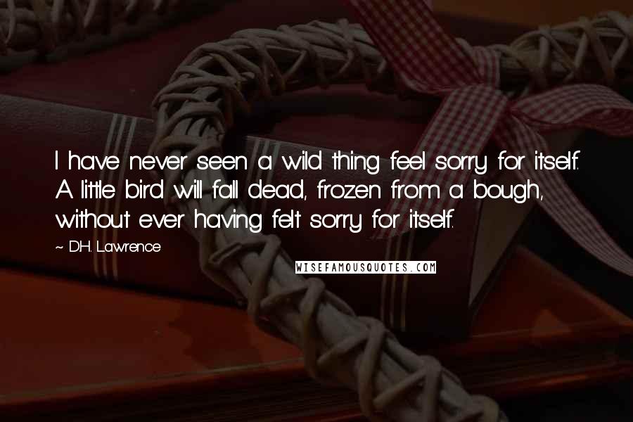 D.H. Lawrence Quotes: I have never seen a wild thing feel sorry for itself. A little bird will fall dead, frozen from a bough, without ever having felt sorry for itself.