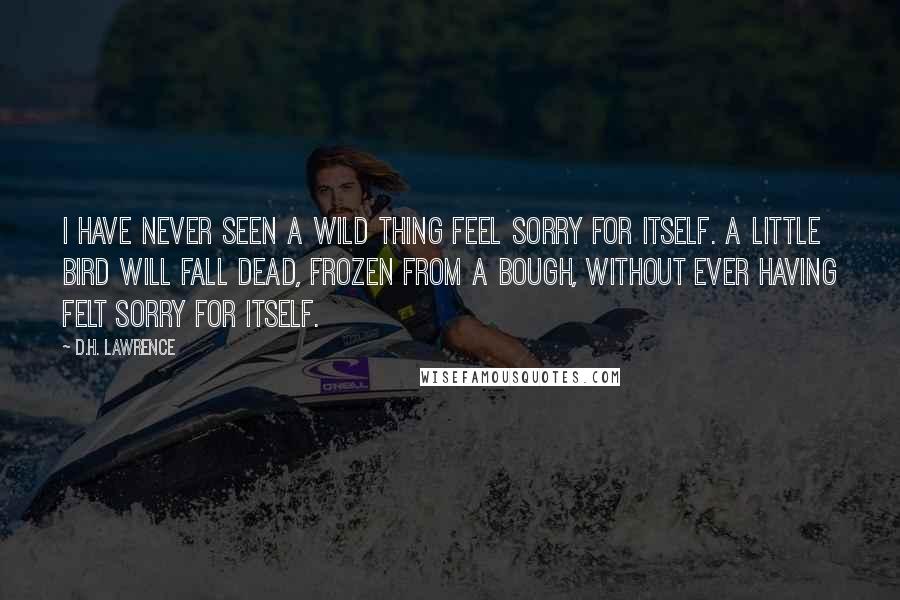 D.H. Lawrence Quotes: I have never seen a wild thing feel sorry for itself. A little bird will fall dead, frozen from a bough, without ever having felt sorry for itself.