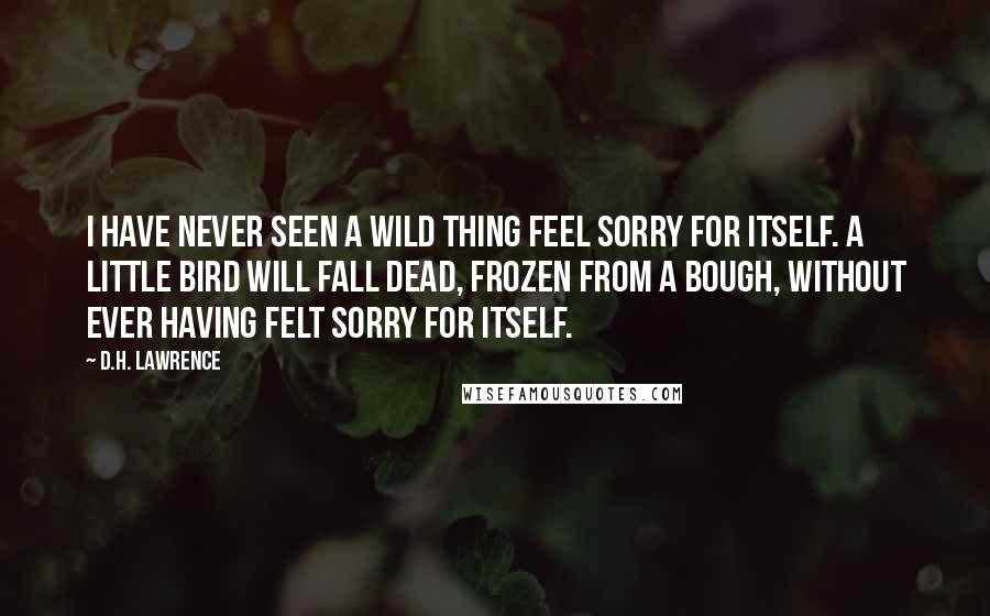 D.H. Lawrence Quotes: I have never seen a wild thing feel sorry for itself. A little bird will fall dead, frozen from a bough, without ever having felt sorry for itself.