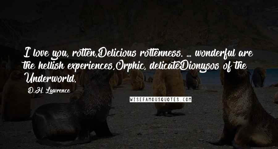 D.H. Lawrence Quotes: I love you, rotten,Delicious rottenness. ... wonderful are the hellish experiences,Orphic, delicateDionysos of the Underworld.