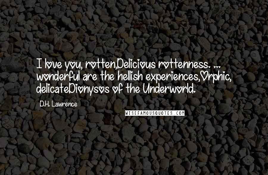 D.H. Lawrence Quotes: I love you, rotten,Delicious rottenness. ... wonderful are the hellish experiences,Orphic, delicateDionysos of the Underworld.