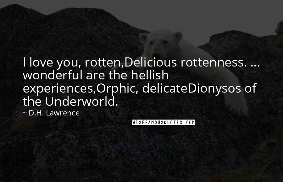 D.H. Lawrence Quotes: I love you, rotten,Delicious rottenness. ... wonderful are the hellish experiences,Orphic, delicateDionysos of the Underworld.