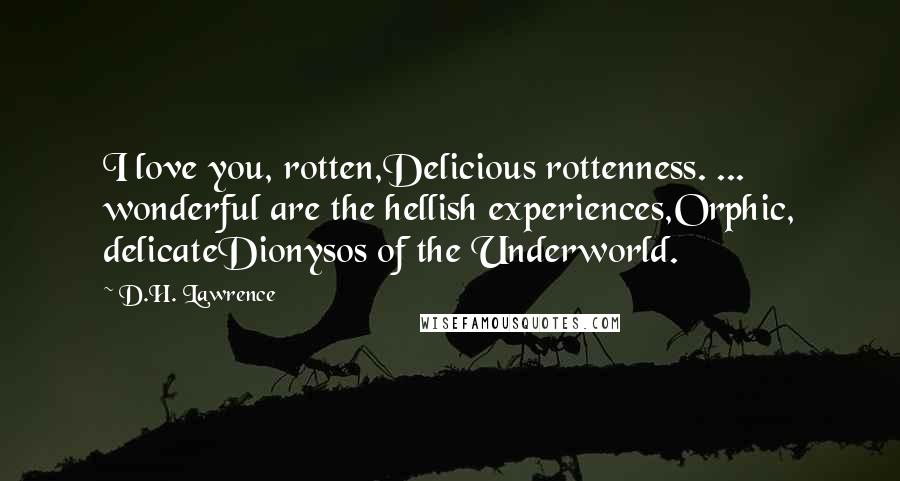 D.H. Lawrence Quotes: I love you, rotten,Delicious rottenness. ... wonderful are the hellish experiences,Orphic, delicateDionysos of the Underworld.