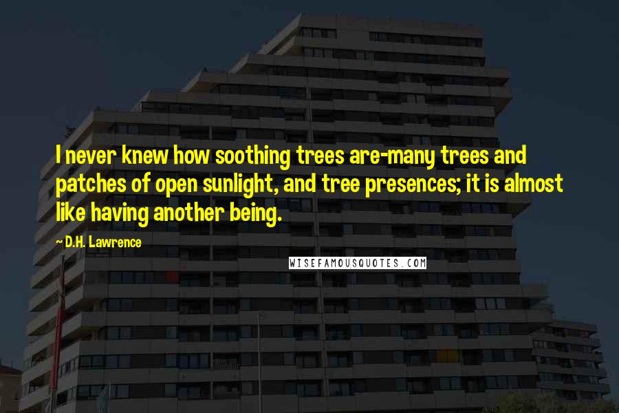 D.H. Lawrence Quotes: I never knew how soothing trees are-many trees and patches of open sunlight, and tree presences; it is almost like having another being.