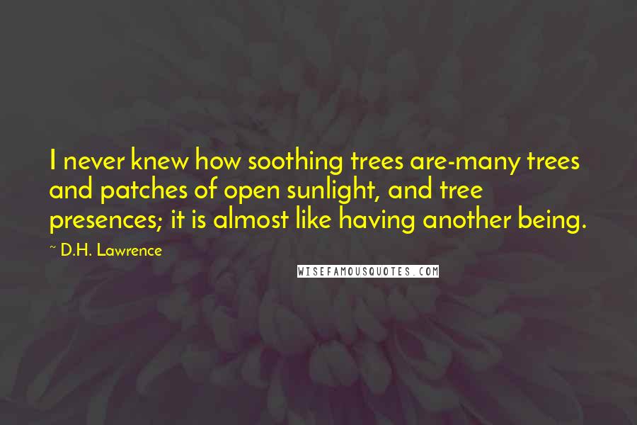 D.H. Lawrence Quotes: I never knew how soothing trees are-many trees and patches of open sunlight, and tree presences; it is almost like having another being.