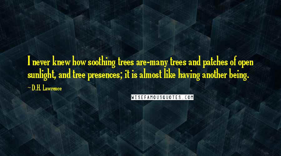 D.H. Lawrence Quotes: I never knew how soothing trees are-many trees and patches of open sunlight, and tree presences; it is almost like having another being.