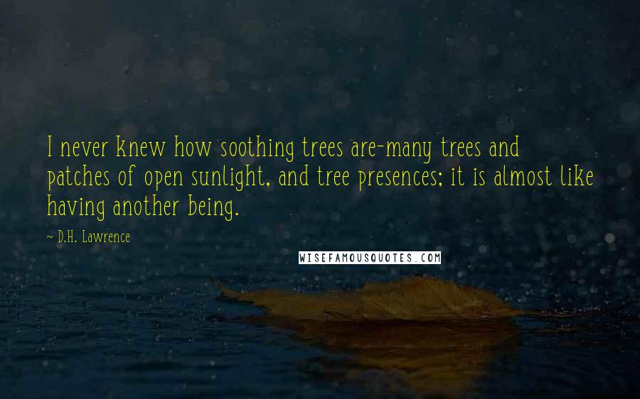 D.H. Lawrence Quotes: I never knew how soothing trees are-many trees and patches of open sunlight, and tree presences; it is almost like having another being.