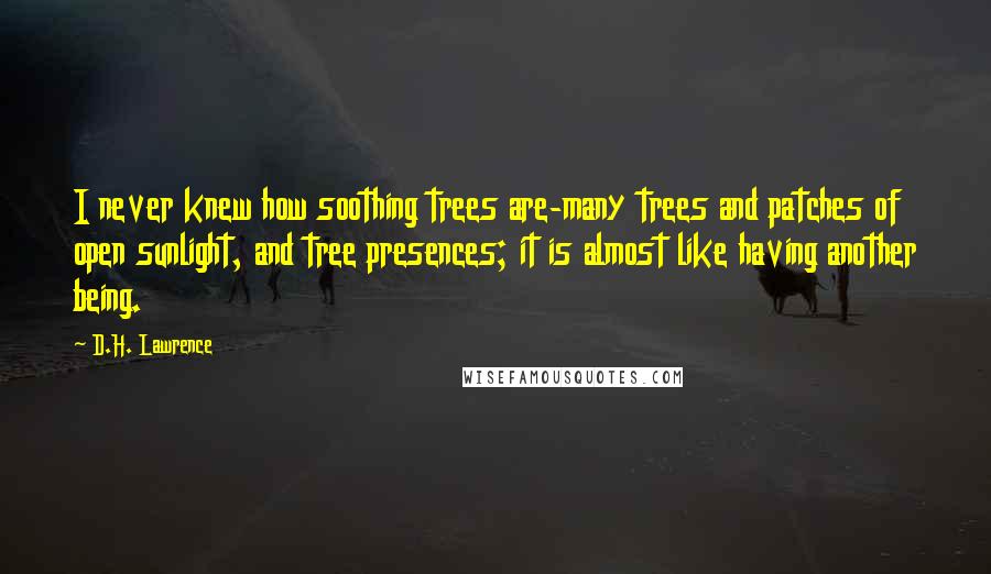 D.H. Lawrence Quotes: I never knew how soothing trees are-many trees and patches of open sunlight, and tree presences; it is almost like having another being.