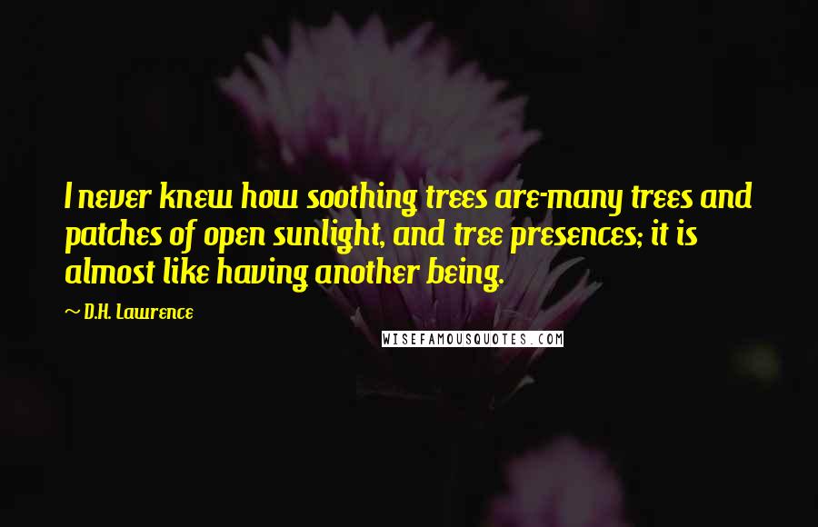 D.H. Lawrence Quotes: I never knew how soothing trees are-many trees and patches of open sunlight, and tree presences; it is almost like having another being.